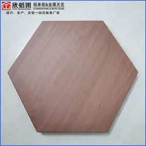 造型铝单板 六边形铝单板冲小灯孔吊顶装饰 造型样式定制厂家直销铝单板