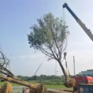������������������������������������ɽ�����۸�ȫ�������������Ǽ�������