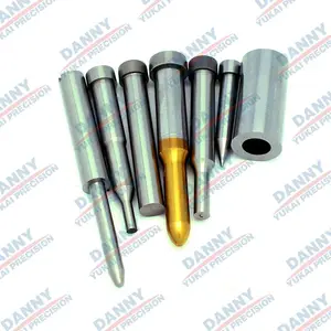 ��רҵ�����������ܽ�ģ����� ��� ���� ���� ���ȸ߽��ڿ� DANNY