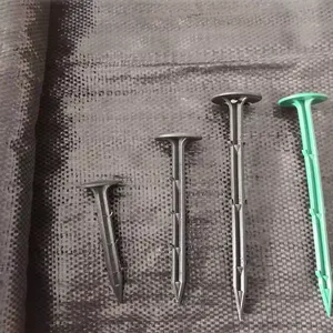 ���ݲ�����԰�յز�����ݲ���