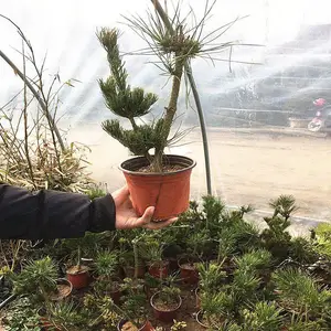 �ձ��辰 ���ɼ޽Ӷ�ͷ������С������ļ�����