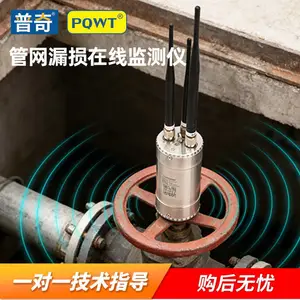 管网在线漏损检测仪 噪声记录仪 管道噪声监测仪 ***自吸 渗漏预警