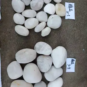 �Ϻ��ֶ���Ӧ˳�����ư�ɫ����ʯ