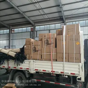 ����ɭ��6MFSH����ʽ��ĭ***�������Զ������