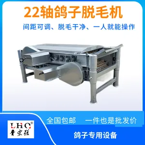 ��ʽ22���ϸ���ë��