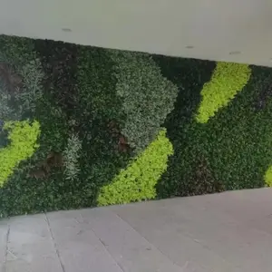 ����ֲ��ǽ��ֲǽ���ϼٲ�ƺ����ǽ�ȼ�����ͷ���ڵ��л�ǽװ��