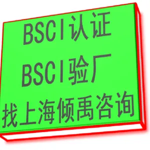 上海咨询公司BSCI验厂注意事项 欢迎咨询 上海倾禹企业管理咨询供应