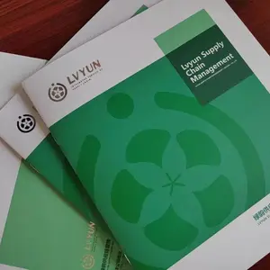 沈阳于洪宣传册设计印刷