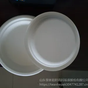 一次性纸浆盘可降解盘快餐盘一次性餐盘甘蔗浆纸盘纸碟蛋糕盘