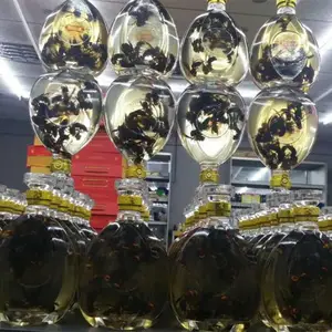 ������ֳ