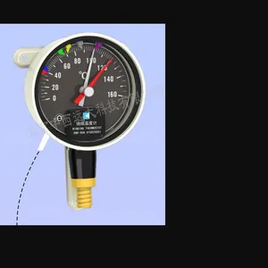 �����¶ȼ� �ͺ� BR06-BWR-906HX��� M407222