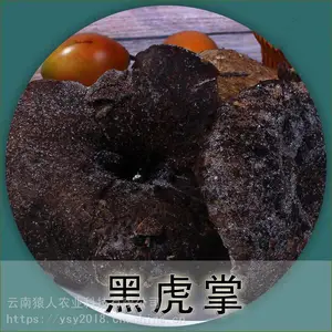 高原食材 黑虎掌菌一件1.5公斤 净重2斤 酒店 餐馆 家庭 一件代发