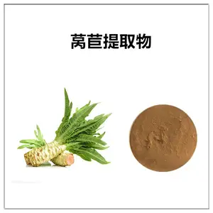 莴苣提取物10:1 食品级 浸膏粉 棕黄色粉末 沃特莱斯生物