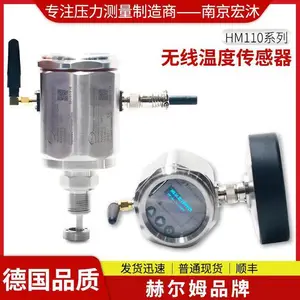 德国汉姆HM110 物联网LoRa NB-IoT 4G WiFi 无线温度传感器