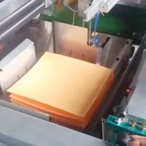 �Զ���װ������ STZP1-653��ص����Զ���װ�� �Զ�����װ�豸����