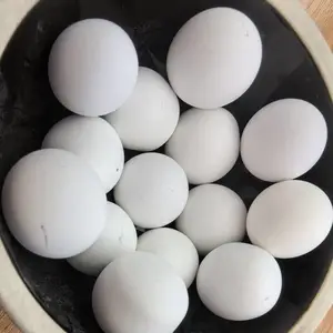 厂家***回收各种废旧 氧化铝球 研磨球 中高铝球