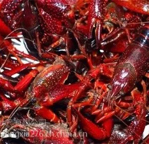 亳州小龙虾种虾批发送货上门