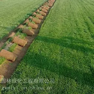 绿化资材粘合剂作用