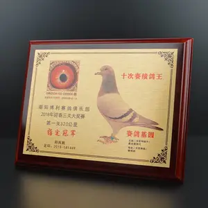 ���Ա�����ƶ��� ʵľ��Ȩ�ƽ��� ����ľ***����