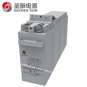 圣阳蓄电池FTA12-125 12V125Ah 前置端子狭长 阀控式密封 AGM技术