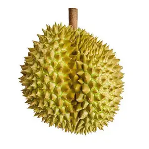���ڻʸڿڰ�������ڱ�������