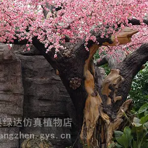 ������������۱�������ֲ���쾰��˾����нӸ��ּ�ɽ�����쾰�зḻ��������