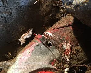 惠州市盛达凯莱自来水管漏水检测公司,龙门地下水管漏水检测公司,陈江管道查漏水公司电话