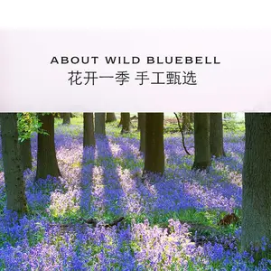 供应 悦香薰 香氛系统扩香机专用【香氛精油】香薰精油2019新款植物精油
