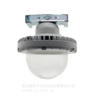 LED����Ӧ����BAJ-50W Ӧ��6Сʱ˫ͷ������ �����װ�װ֧��