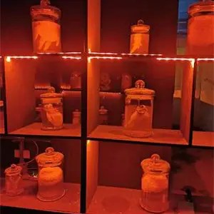 安徽真游鬼屋设计施工(图)-民雄鬼屋-清远鬼屋