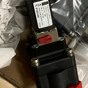 供应 PSK 电磁阀 P1001485