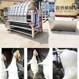卧式整羊脱毛机 全自动羊打毛机 不锈钢外壳 质量可靠 使用方便