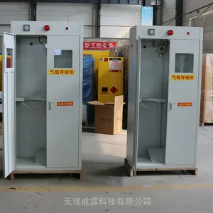 长春实验室气瓶柜-杭州笑气气瓶柜-西安氩气气瓶柜-成霖研发生产