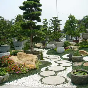 黄山园林景观绿化-安徽天伦市政建设-家庭园林景观绿化