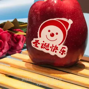 果蔬食品级印刷油墨、快干移印油墨厂家直供