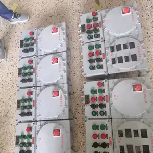 BXK51�������������� ˫���Žṹ