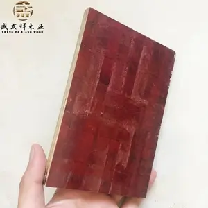 ľ�ʽ��ϰ�������Ĥ�� ����ģ��