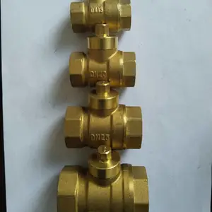 ��ͭ���ų���ֱ�� ˫����� һ������ ͭ ���Լ���բ��
