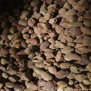 高纯镁砂加工各种粒度和粉陶瓷颗粒耐火矿物高温
