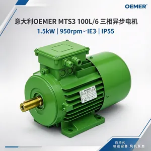 �����OEMER MTS3 100L/6�����첽��� 1.5kW IE3 �÷�������豸��