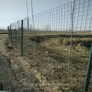 ��̩�纸�� ������Ƭ ������