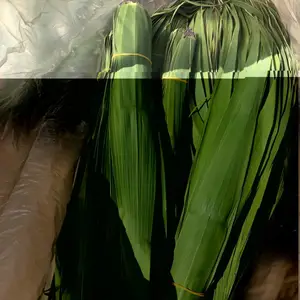 白洋淀粽子叶白洋淀芦苇叶山西粽子叶批发唐山粽子叶潞城市粽子叶批发