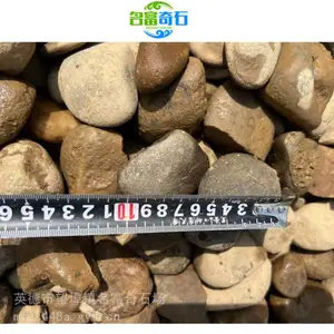 广东湛江供应鹅卵石 湛江天然鹅卵石建筑铺路 湛江鹅卵石大量出售