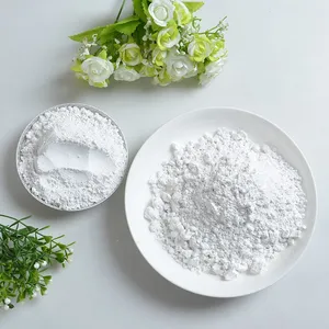 天津白色负离子粉厂家 供应颜色齐全超细纳米负离子粉 负氧离子的作用