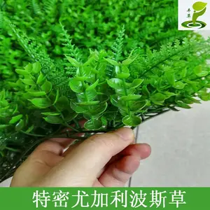 �����ƺ������ֲ������ͷ������ǽֲ��ǽ��װ����̨�������ϼٻ�