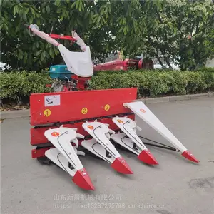 �³�������ĸ���ո�� ������������ �ַ������������ݸ�ɹ��
