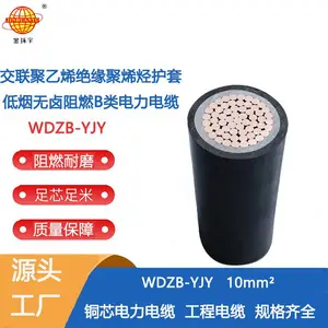 ������� ��оWDZB-YJY 1X10 ���� ������±b����ȼ��������