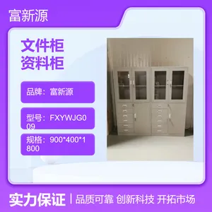 富新源定制办公室文件柜 铁皮资料柜实物图片
