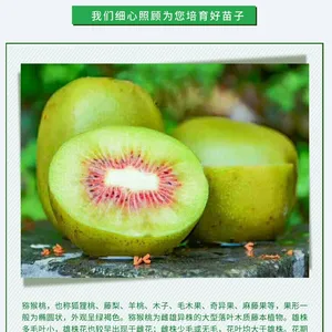 ̩��⨺�������� ����⨺����������� ��ϵ���� ���ʵ���
