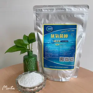 利博源***种 厌氧微生物菌种 降cod降氨氮污水达标排放